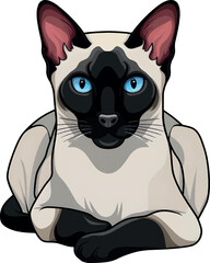 Cute Siamese Cat with a Playful Expression