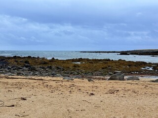 Ytri Tunga Beach with Seals, Snæfellsnes Peninsula, West Iceland