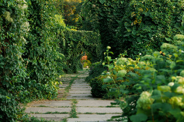garden floral foot path paved road way under arch shape natural passage outside spring environment space for green leaves of plant