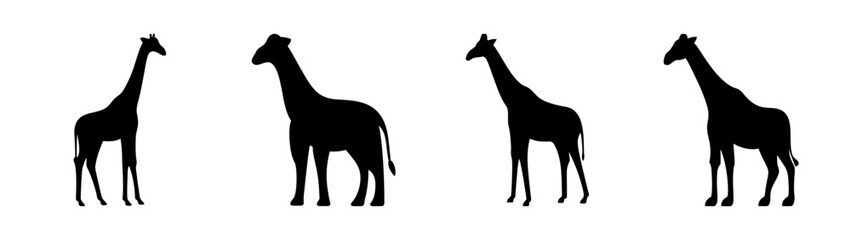 Fototapeta premium Four black giraffe silhouettes standing tall in a row on