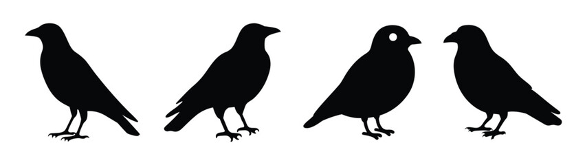 Obraz premium Four silhouette birds standing on detail