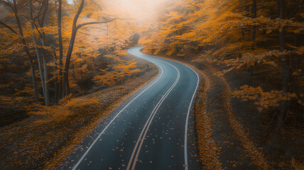 Naklejka premium Winding Road Through Vibrant Autumn Forest with Colorful Foliage and Warm Sunlight