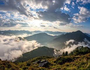 Obraz premium Panoramic view of a forest with sunlight shining through the trees wilderness