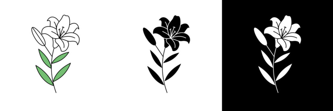 A delicate white lily flower symbolizing purity and renewal, perfect for religious events, spring celebrations, or spiritual-themed vector designs.