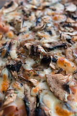 Italian mushroom pizza with melted cheese and herbs