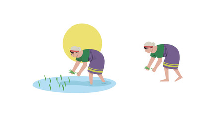 Female rice plantation harvest Assam