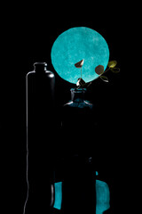 Still life with a bottle and a glass vase against a blue circle