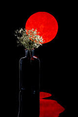 Still life with a glass vase with flowers on the background of a red circle with reflection
