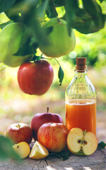 Apple cider vinegar in the garden. Selective focus.