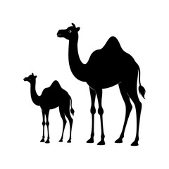 Silhouette of a mother camel and her calf standing against a white background