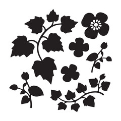 A black silhouette ivy flower Silhouette On White Background. 