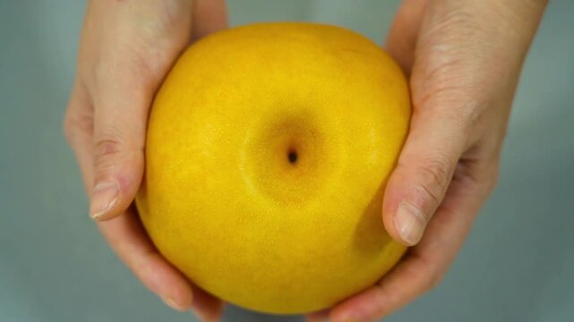 Asian pears, nashi pear fruit organic agriculture and vitamin nutrition
