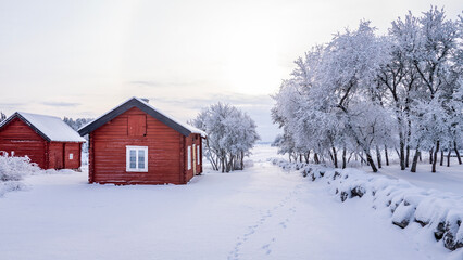 Farm barn and house in a cold winter landscape with snow and frost.
