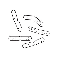 Lactobacillus casei line icon