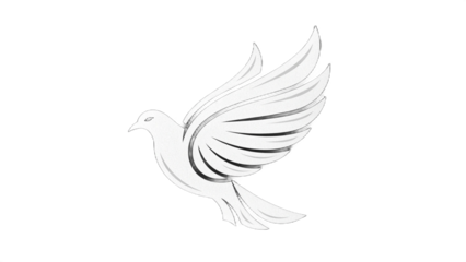A stylized white dove with outlined wings is set against a stark black background in a simple design