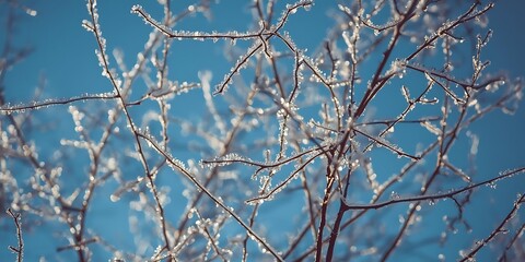 Winter Scene with Icy Branches and Serene Atmosphere
