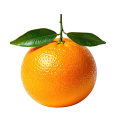 Vibrant, ripe orange fruit with green leaves, set against a stark black background
