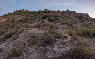Native Mediterranean vegetation surrounding the Castle of Sagunto, Valencia province, Spain, showing shrubs, aromatic plants and limestone rocky slopes typical of eastern Iberian landscapes.