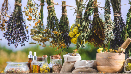 Dried medicinal herbs on the table. Selective focus.