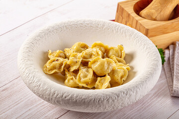 Tasty Russian dumplings with meat