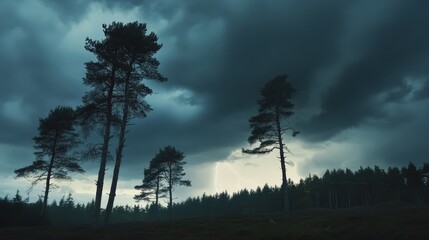 Dramatic Cloudy Sky Over Silhouetted Trees at Dusk in a Forest Setting