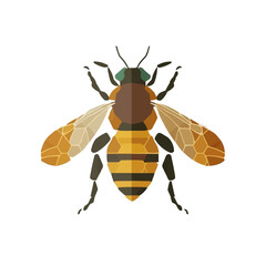 Honey bee flat vector illustration with geometric wings