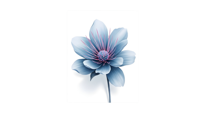 Elegant blue and pink decorative flower illustration for modern graphic design and branding isolated PNG with Transparent Background