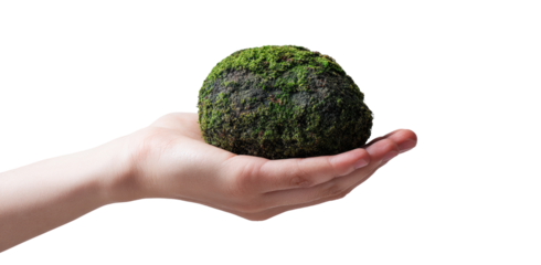 Hand holding a mossy sphere