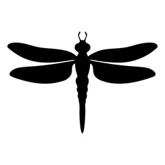 dragonfly vector illustration