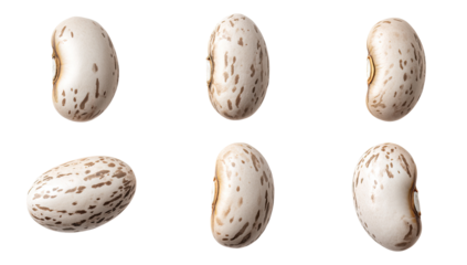 Close-up view of six beans, various angles
