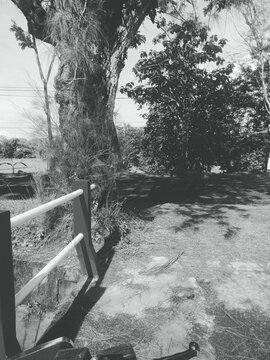 bench in the park