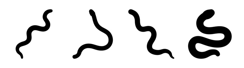 Fourblackearthwormsilhouettesshowingdifferentwavyuncoiledandcoiledpositionsagainstawhitebackdrop
