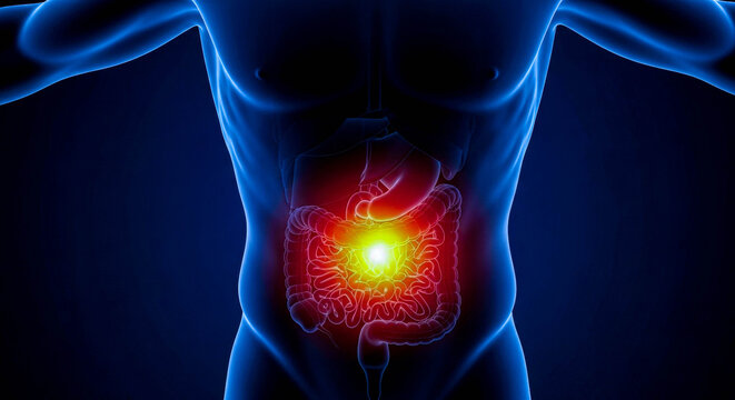 Male torso with glowing pain in the abdomen area. Digestive system problems and bowel illness concept. Medical visualization.