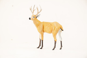 deer animal on isolated background