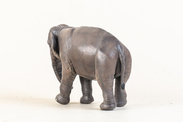 Obraz premium asian elephant on isolated background