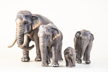 Fototapeta premium asian elephant on isolated background