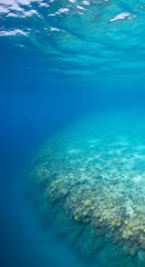 Obraz premium Underwater coral reef with clear blue ocean water and sunlight filtering through.