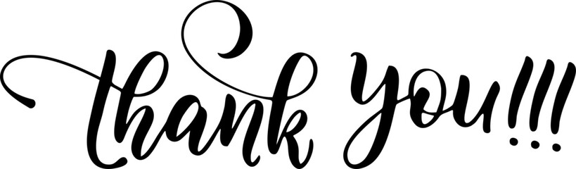 thank you hand lettering vector