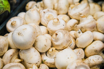 Fresh white champignons on the counter in a store or market.