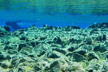 Underwater View of Silfra Fissure, Thingvellir National Park, Iceland