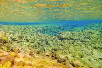 Underwater View of Silfra Fissure, Thingvellir National Park, Iceland