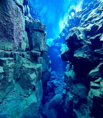 Underwater View of Silfra Fissure, Thingvellir National Park, Iceland