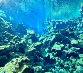 Underwater View of Silfra Fissure, Thingvellir National Park, Iceland