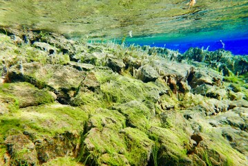 Underwater View of Silfra Fissure, Thingvellir National Park, Iceland