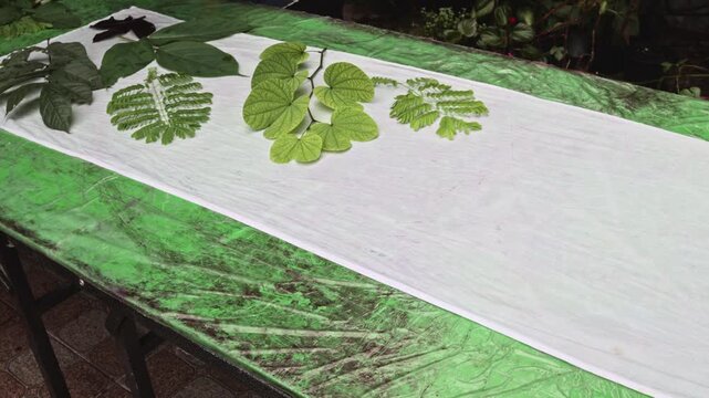 Design and layout of hand-dyed striped fabric using eco-printing techniques, using leaves and flowers as backgrounds and abstract seamless textures. - Powered by Adobe