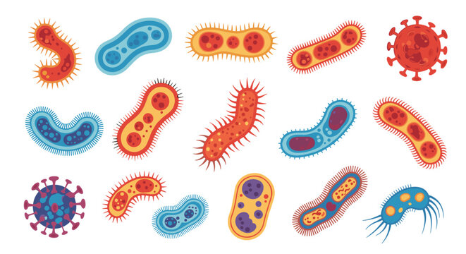 Collection of colorful diverse bacteria and virus illustrations.
