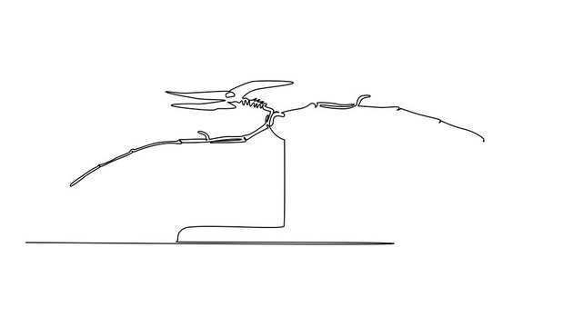 Animation of single continuous line drawing pteranodon dinosaur skeleton in museum room. Wild animals flying in the past. International Museum Day. One line self drawing animated. Full length motion