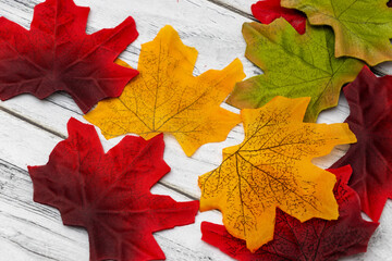 A collection of vibrant autumn leaves in shades of red, orange, yellow, and green arranged on a wooden surface, symbolizing the beauty of fall season and natures transformation.