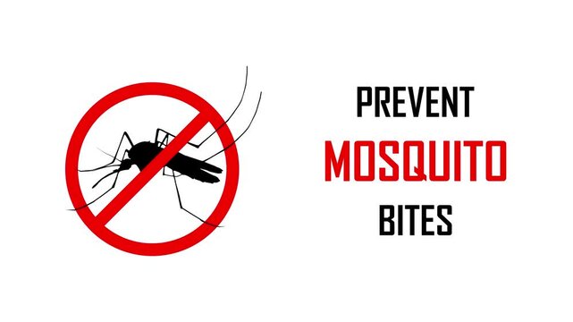 Prevent mosquito bites, dengue and malaria awareness, no fever, protect the body, medical and healthcare animation, stop spreading infections, epidemic control