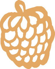 Longan Hand Drawn Doodle Illustration